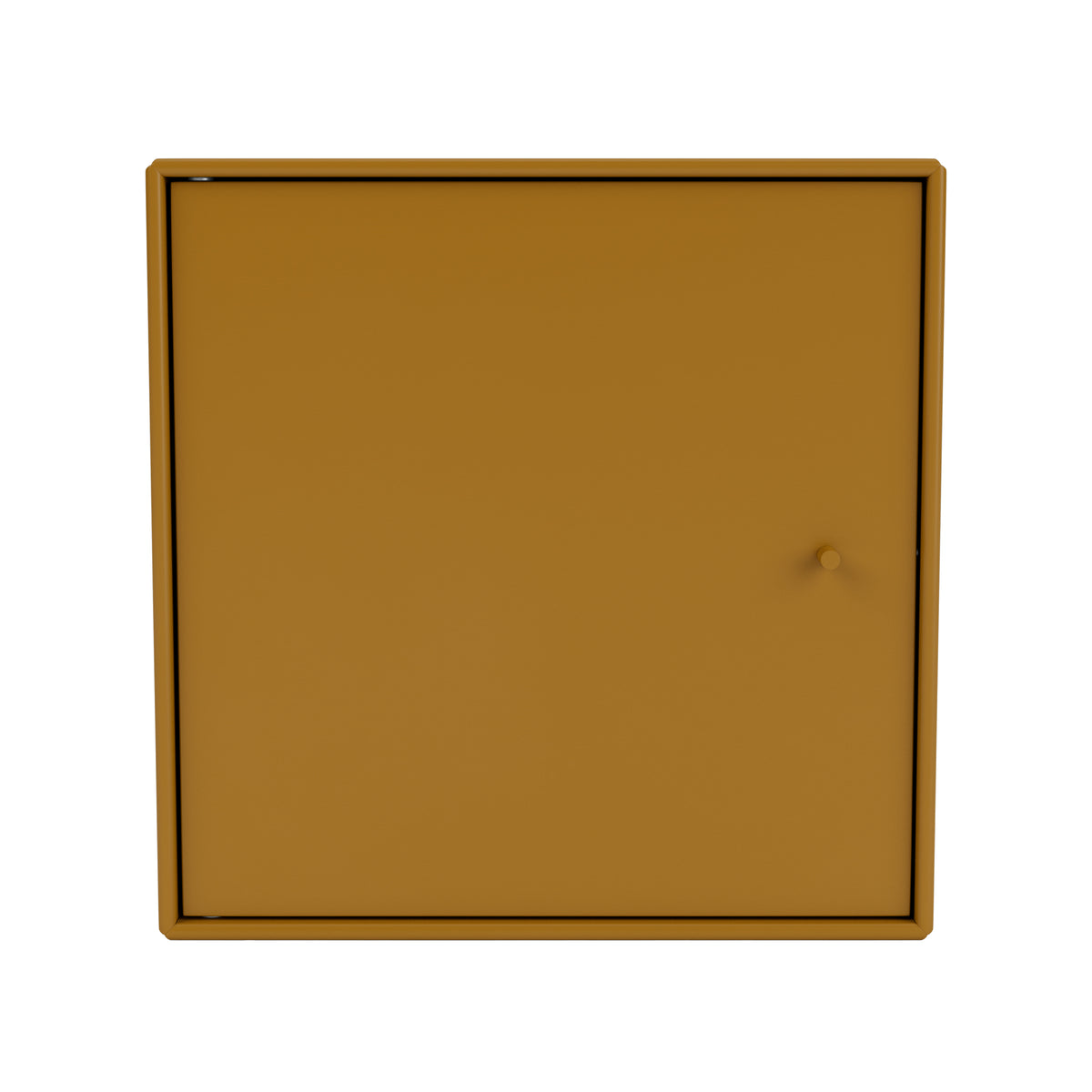 Montana - Mini Regalmodul mit Tür | amber
